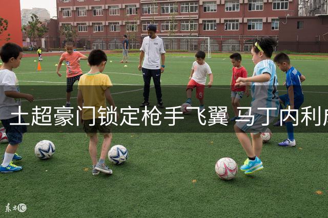 土超豪门锁定枪手飞翼 马丁内利成莱奥交易B计划