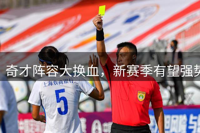 奇才阵容大换血，新赛季有望强势崛起