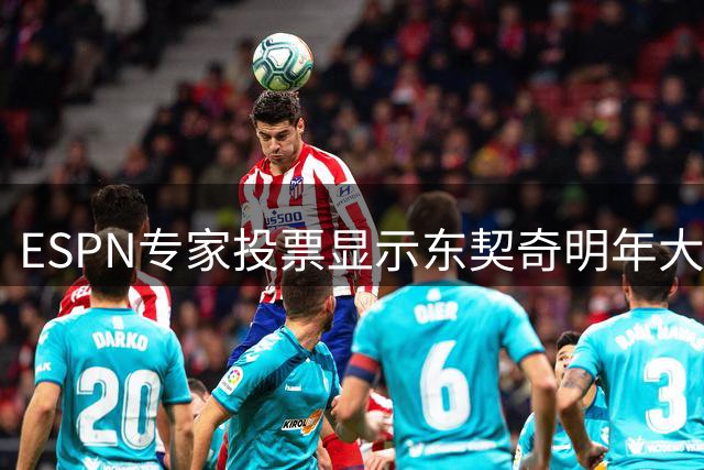 ESPN专家投票显示东契奇明年大概率留队